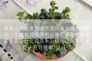 劳务公司需要办理资质吗多少钱？我想问一下建筑劳务承包公司在承包作业时需不需要什么资质？？请哪位高手帮帮忙，万分感谢！！！？