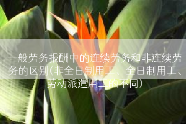 一般劳务报酬中的连续劳务和非连续劳务的区别(非全日制用工、全日制用工、劳动派遣用工的不同)
