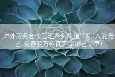 对外劳务合作管理条例实施细则(大爱无言.爱善渡万物而不鸣出自哪里)