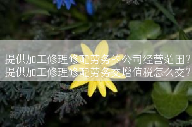提供加工修理修配劳务的公司经营范围？提供加工修理修配劳务交增值税怎么交？