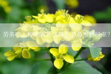 劳务收入税率表怎么算？劳务报酬税率？