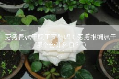 劳务费属于职工薪酬吗（劳务报酬属于哪个会计科目？）