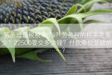 劳务增值税税率5%？劳务税的税率是多少？22500要交多少钱？付款单位是政府……？