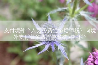 支付境外个人劳务费代缴增值税？向境外支付劳务费需要缴纳哪些税？