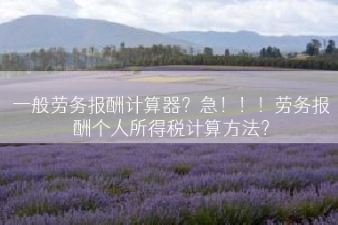 一般劳务报酬计算器？急！！！劳务报酬个人所得税计算方法？