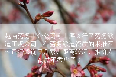 越南劳务中介公司（上海闵行区劳务派遣正规公司，有劳务派遣资质的求推荐～已经咨询了几家，距离较远，报价太高就不考虑了）