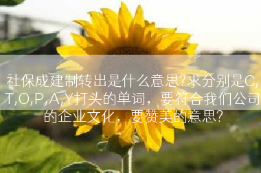 社保成建制转出是什么意思?求分别是C,T,O,P,A,Y打头的单词，要符合我们公司的企业文化，要赞美的意思?