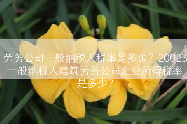 劳务公司一般纳税人税率是多少？20023一般纳税人建筑劳务公司企业所得税率是多少？