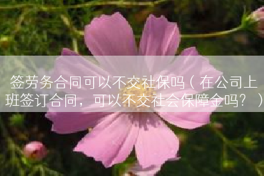 签劳务合同可以不交社保吗（在公司上班签订合同，可以不交社会保障金吗？）