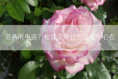劳务所电话？松江劳动技能鉴定中心在哪？