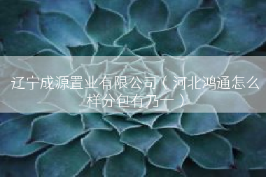 辽宁成源置业有限公司（河北鸿通怎么样分包有乃一）