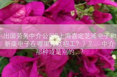 出国劳务中介公司?上海嘉定芝浦电子和新康电子在哪里开以招工？？？　　中介那种或是别的 ..?
