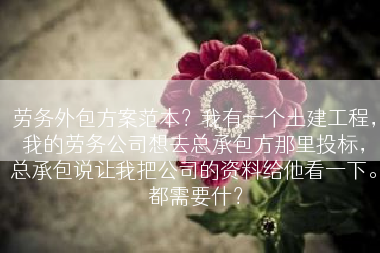 劳务外包方案范本？我有一个土建工程，我的劳务公司想去总承包方那里投标，总承包说让我把公司的资料给他看一下。 都需要什？