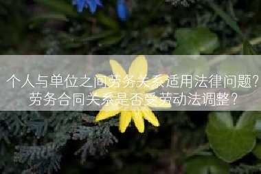 个人与单位之间劳务关系适用法律问题？劳务合同关系是否受劳动法调整？