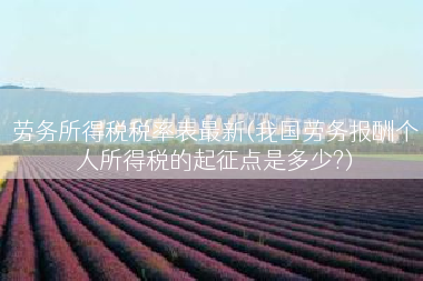 劳务所得税税率表最新(我国劳务报酬个人所得税的起征点是多少?)