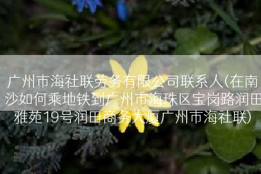 广州市海社联劳务有限公司联系人(在南沙如何乘地铁到广州市海珠区宝岗路润田雅苑19号润田商务大厦广州市海社联)