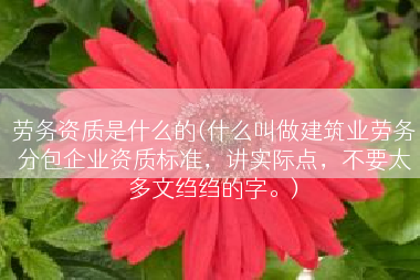 劳务资质是什么的(什么叫做建筑业劳务分包企业资质标准，讲实际点，不要太多文绉绉的字。)