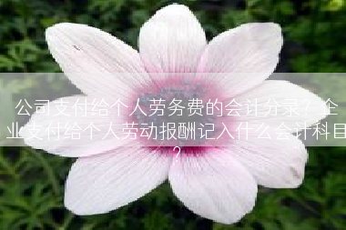 公司支付给个人劳务费的会计分录？企业支付给个人劳动报酬记入什么会计科目？