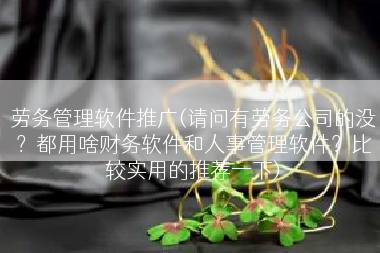 劳务管理软件推广(请问有劳务公司的没？都用啥财务软件和人事管理软件？比较实用的推荐一下)
