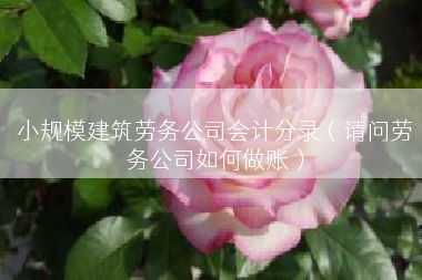 小规模建筑劳务公司会计分录（请问劳务公司如何做账）