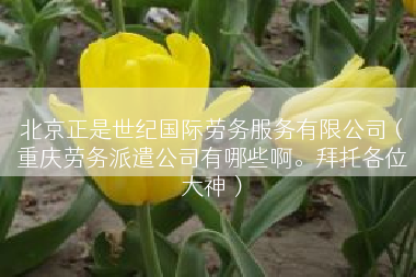 北京正是世纪国际劳务服务有限公司（重庆劳务派遣公司有哪些啊。拜托各位大神）