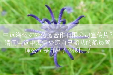 中远海运对外劳务合作有限公司宣传片？请问中远中海中外运自己船队的船员管理公司是哪些？谢谢。？
