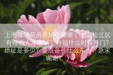 上海徐泾劳务市场在哪里（上海松江区有哪些人才市场？分别什么时候开门？地址是多少？要准备些什么东西？急求谢谢！）