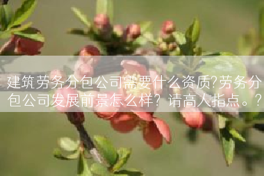 建筑劳务分包公司需要什么资质?劳务分包公司发展前景怎么样？请高人指点。?