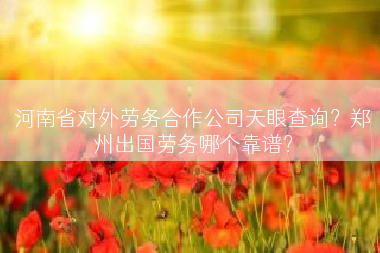 河南省对外劳务合作公司天眼查询？郑州出国劳务哪个靠谱？