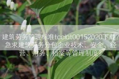 建筑劳务管理标准tcciat00152020下载？急求建筑劳务分包企业技术、安全、经营、财务、档案等管理制度？