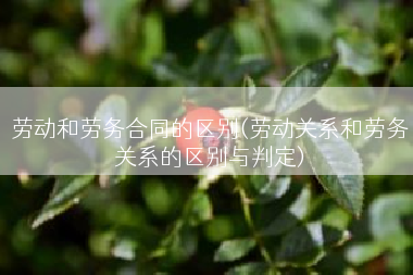 劳动和劳务合同的区别(劳动关系和劳务关系的区别与判定)