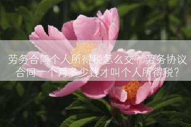 劳务合同个人所得税怎么交？劳务协议合同一个月多少钱才叫个人所得税？