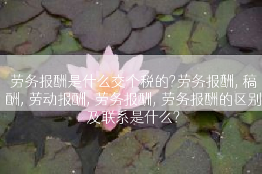劳务报酬是什么交个税的?劳务报酬, 稿酬, 劳动报酬, 劳务报酬, 劳务报酬的区别及联系是什么?