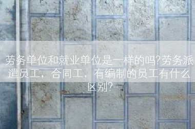 劳务单位和就业单位是一样的吗?劳务派遣员工，合同工，有编制的员工有什么区别?