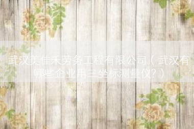 武汉美佳禾劳务工程有限公司（武汉有哪些企业用三坐标测量仪?）