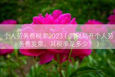 个人劳务费税率2023（到税局开个人劳务费发票，其税率是多少？）