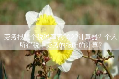 劳务报酬个税税率表2022计算器？个人所得税中劳务的报酬的计算？