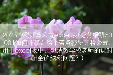 2023个税计算公式excel表(劳务报酬50001如何计税？给个劳务报酬计税公式，用于excel表中，想请教学校老师的课时酬金的纳税问题？)