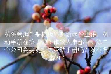 劳务管理手册模板？想做两份工作，劳动手册在第一份工作的人事那里。第二个公司会要我提供劳动手册吗？没有怎么办？