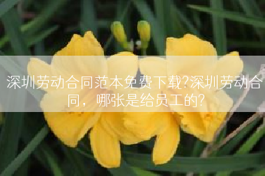 深圳劳动合同范本免费下载?深圳劳动合同，哪张是给员工的?