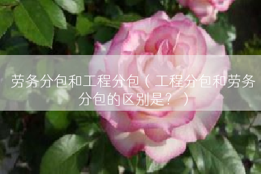 劳务分包和工程分包（工程分包和劳务分包的区别是？）