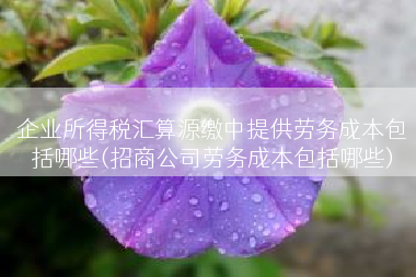 企业所得税汇算源缴中提供劳务成本包括哪些(招商公司劳务成本包括哪些)