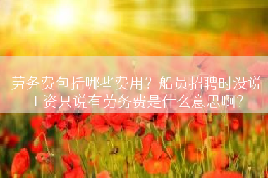 劳务费包括哪些费用？船员招聘时没说工资只说有劳务费是什么意思啊？