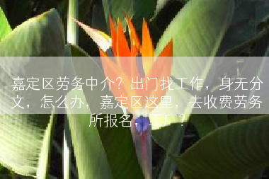 嘉定区劳务中介？出门找工作，身无分文，怎么办，嘉定区这里，去收费劳务所报名，工厂？