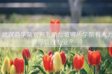 武汉商学院官网？新加坡哪所学院有人力资源管理专业 ?…？