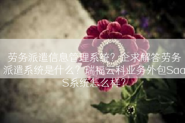 劳务派遣信息管理系统？企求解答劳务派遣系统是什么？瑞福云科业务外包SaaS系统怎么样？