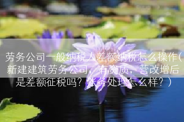 劳务公司一般纳税人差额纳税怎么操作(新建建筑劳务公司，有资质，营改增后是差额征税吗？账务处理怎么样？)