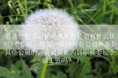 劳务分包公司和劳务外包公司有什么区别?（你好，我是一软件外包公司外派到其他公司的，我试用期内辞职能要回全额工资吗？）