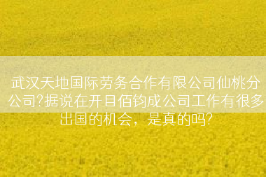 武汉天地国际劳务合作有限公司仙桃分公司?据说在开目佰钧成公司工作有很多出国的机会，是真的吗?