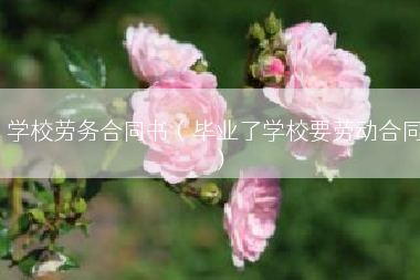 学校劳务合同书（毕业了学校要劳动合同）